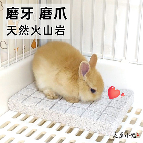 健康快乐磨牙磨甲玩具天然火山岩