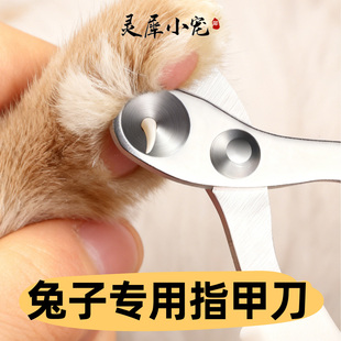 兔兔专用指甲剪指甲钳宠物用品圆孔定位侏儒兔通用新手盲剪刀神器