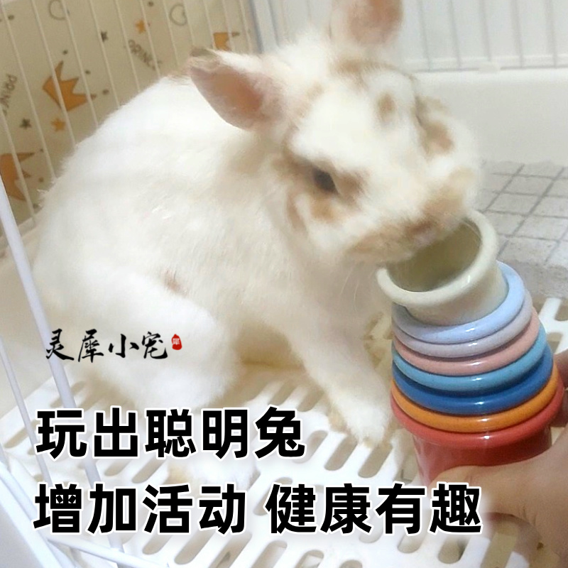 快乐叠叠杯解闷发泄小宠玩具