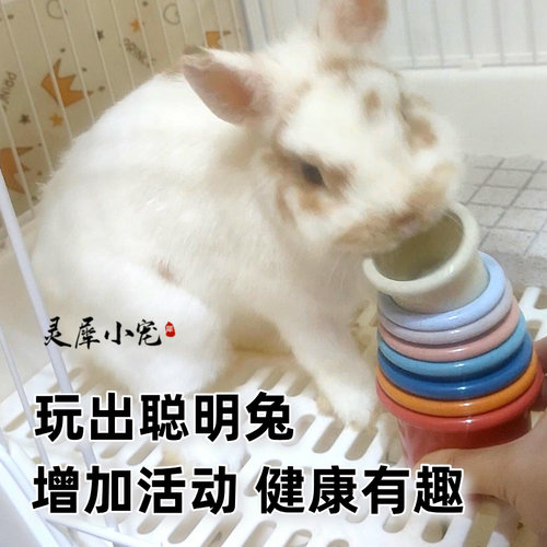 快乐叠叠杯解闷发泄小宠玩具