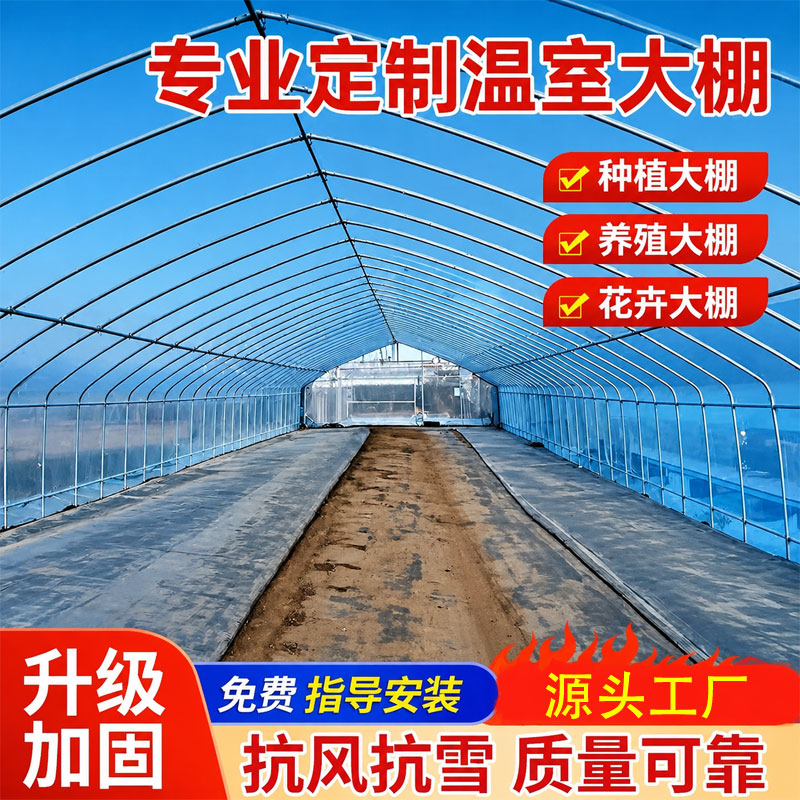 大棚骨架钢管全套温室连栋养殖椭圆管钢架农业连体蔬菜种植育苗棚图片