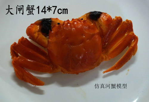 仿真一比一食物模型假菜样品展示蔬菜三文鱼金枪鱼猪耳朵银耳道具