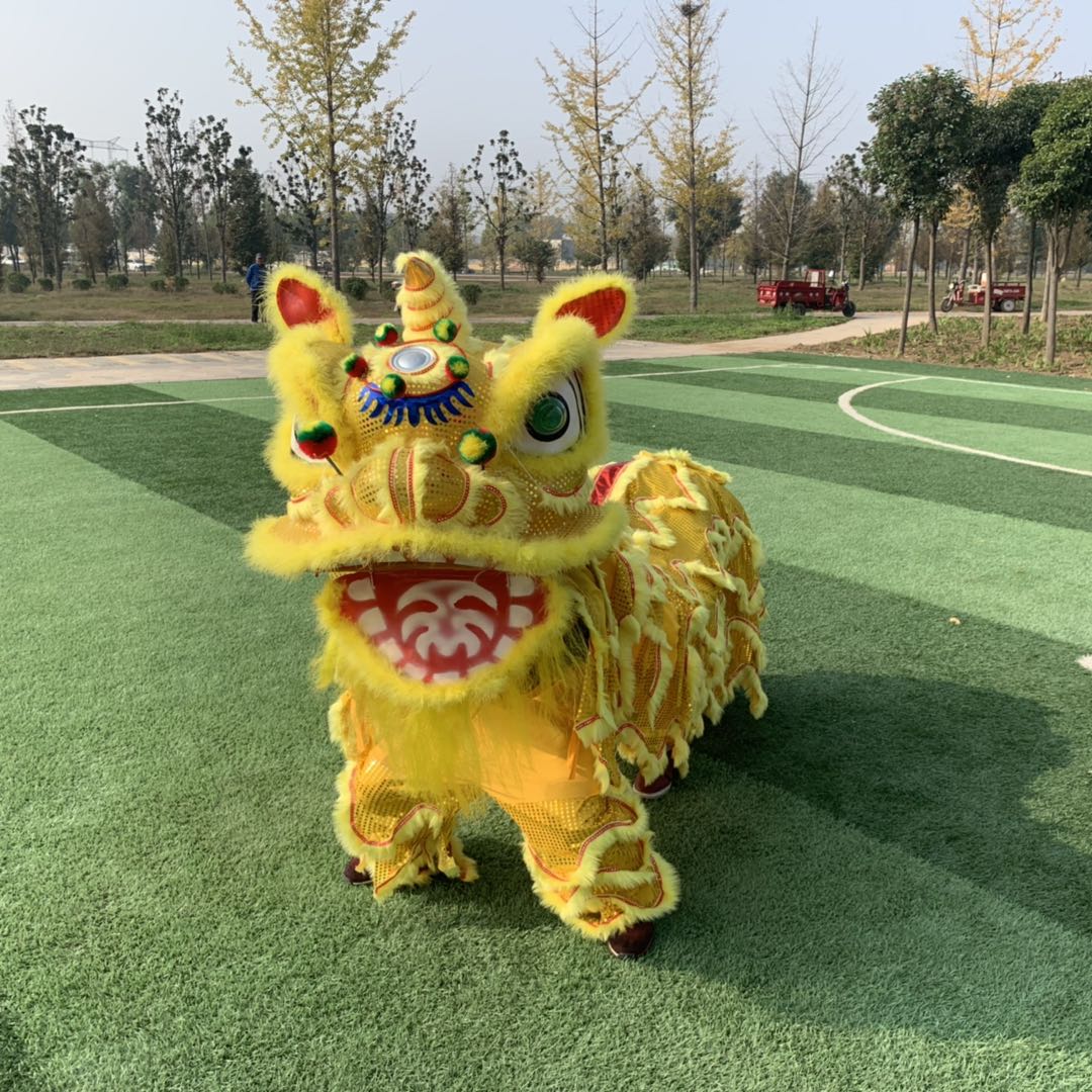 舞龙舞狮道具整套舞狮子佛山舞狮醒狮用品南狮醒狮头成人全套双人