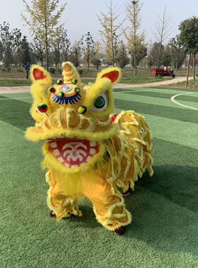 舞龙舞狮道具整套舞狮子佛山舞狮醒狮用品南狮醒狮头成人全套双人