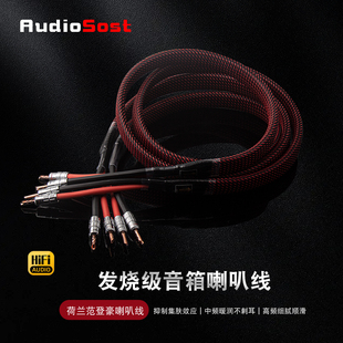 声弦荷兰范登豪红衣主教HIFI镀银主音箱线音响线发烧音箱线喇叭线