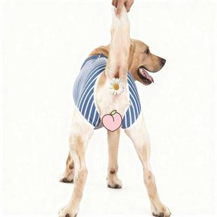 大狗绝育术后服外遛可穿母犬伤口防舔中大型犬宠物康复服排扣款