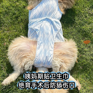母狗生理裤包肚大狗经期中型犬月经裤大型犬术后服边牧绝育术后服