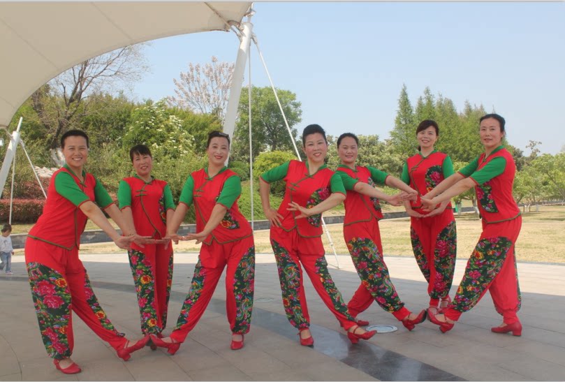 姿美特舞蹈服装新款秧歌民族中袖套装《荞麦花》扇子舞服