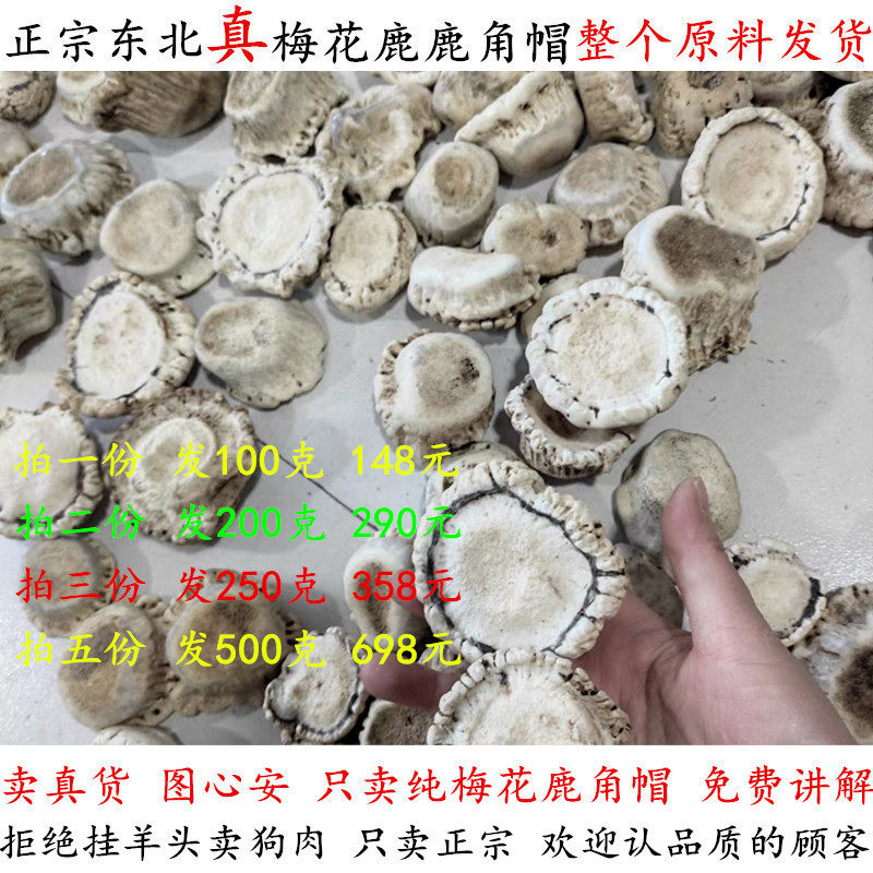 纯梅花鹿鹿角帽整个发货自然脱落每份100克鹿场直销卖真货图心安