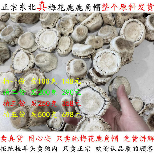纯梅花鹿角帽整个发货真假看得见