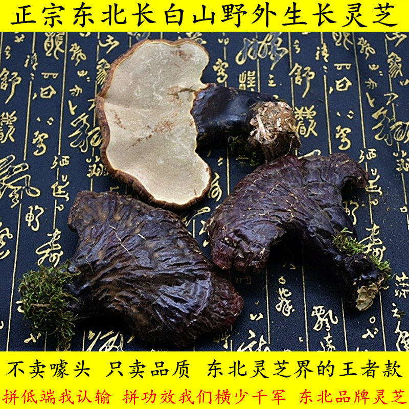 正宗长白山头部灵芝野外生长高品质东北林下整枝泡酒煲汤500g包邮