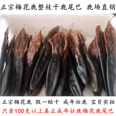 整条100%纯梅花成年壮鹿尾巴入药