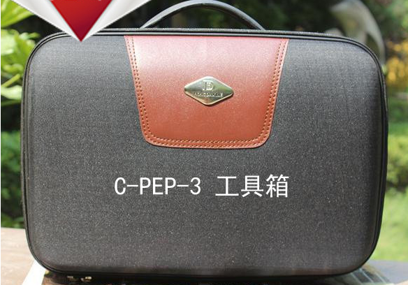cpep3自闭症测评工具箱软件系统