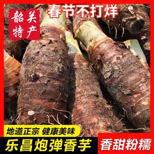 【乐昌香芋】韶关特产炮弹香芋头正宗张溪新鲜粉糯大香芋农家自产