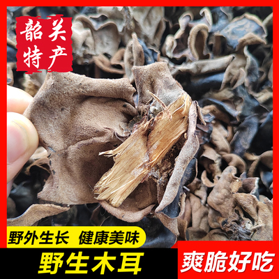 野生木耳罗坑白背毛木耳韶关特产