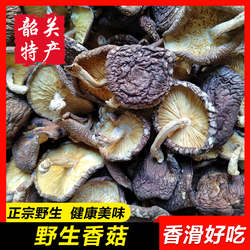 【韶关野生香菇】正宗罗坑特产野生香信干货始兴天然椴木蘑菇冬菇