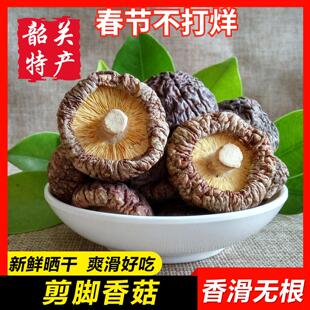 【无根香菇】粤北干货椴木野生蘑菇正宗韶关特产野生花菇剪脚冬菇