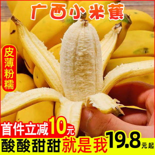 广西新鲜小米蕉西贡粉蕉banana芭蕉当季 热带水果苹果蕉整箱5斤10