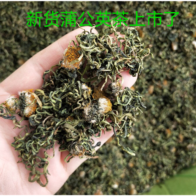 新货蒲公英茶野蒲公英茶 蒲公英茶500克25元