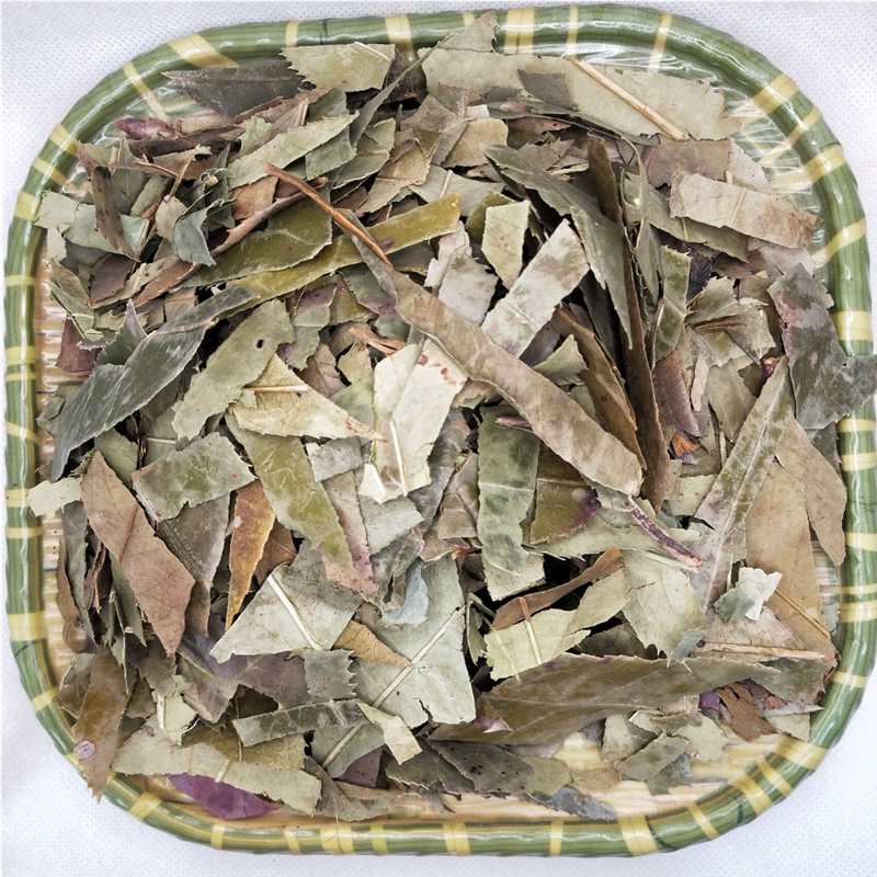 中药材石楠叶 石楠叶500g15元干货石眼树叶无硫新货包邮