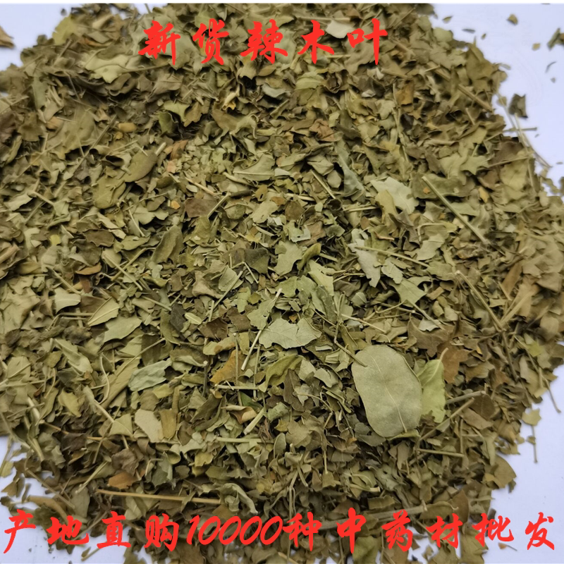 辣木叶茶中草药辣木籽叶中药材辣木叶500克25元新货辣木籽子叶