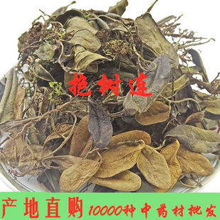 抱石莲中药材 新货抱石连 抱树莲 瓜子菜 瓜米菜 飞连草500克32元