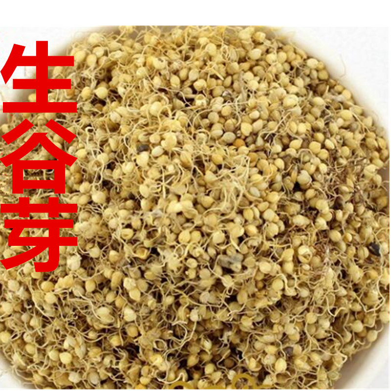 中药材生谷芽 稻谷芽 谷芽小米芽500克9元