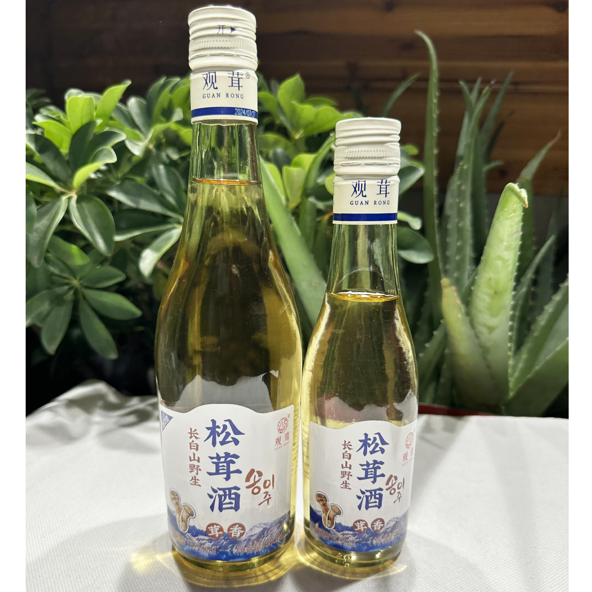 观茸松茸酒500ml延边朝鲜族特产