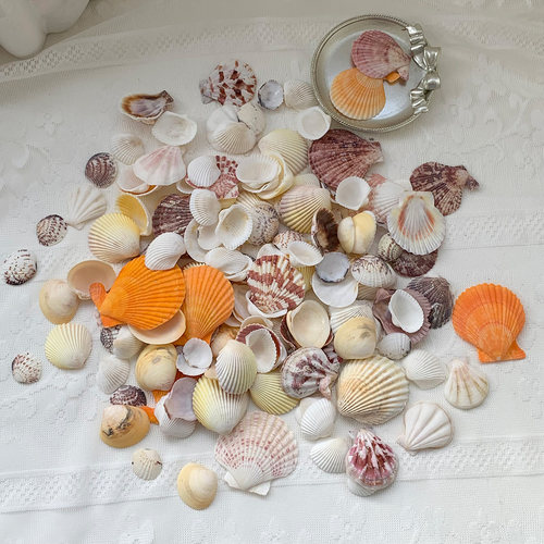 手工diy贝壳相框鱼缸造景