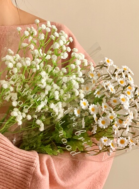 清新把束小雏菊满天星手捧花花束