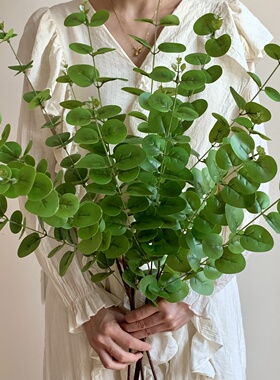 尤加利叶高端轻奢仿真绿植假植物