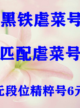 LOL英雄联盟低胜率黑铁4青铜4段位匹配净负连败30级精粹出租账号