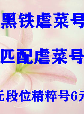 LOL英雄联盟低胜率黑铁4青铜4段位匹配净负连败30级精粹出租账号