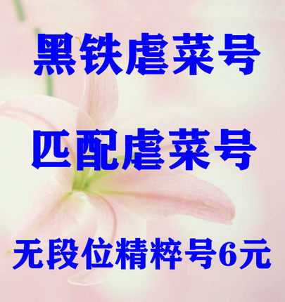 LOL英雄联盟低胜率黑铁4青铜4段位匹配净负连败30级精粹出租账号