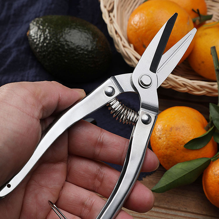 新款钢柄果树枝剪园艺葡萄水果修枝剪采果剪修花稀果花椒摘果剪刀