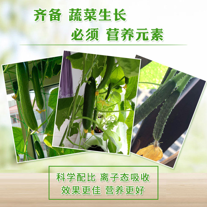 无土栽培水培蔬菜营养液阳台种菜水耕植物营养土陶粒专用