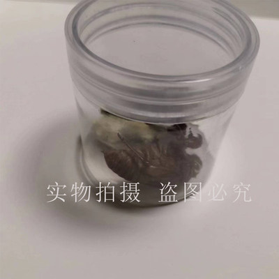 老北京毛猴 材料包 手工DIY 学生制作 北京毛猴非遗教学材料 分解