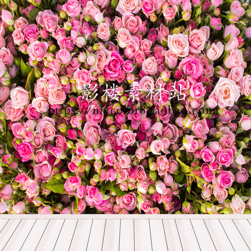 mycolor8 婚纱影楼摄影 花墙 儿童 拍摄背景 图片素材19-284