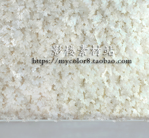 mycolor8 婚纱 影楼摄影背景 韩式背景 高清 素材大图片19-138