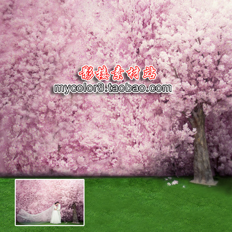 mycolor8 婚纱 影楼摄影背景 高清 韩式 花墙 素材图片大图16-474