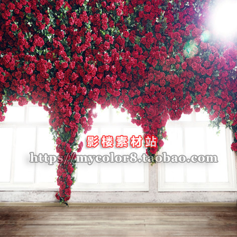 mycolor8 婚纱 影楼摄影背景 高清 韩式主题 花墙 图片大图17-114