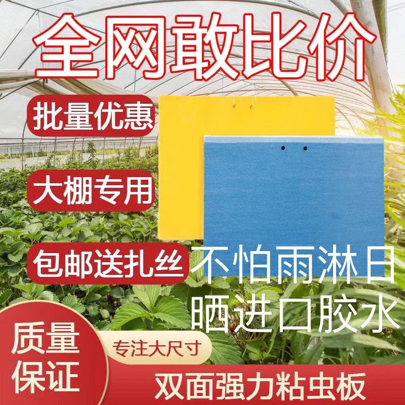 双面粘虫板诱虫板粘蝇板粘蚊板茶园黄色强力加厚一体防晒