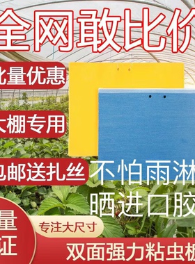 双面粘虫板诱虫板粘蝇板粘蚊板茶园黄色强力加厚一体防晒