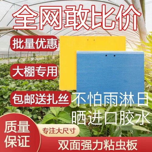 双面粘虫板诱虫板粘蝇板粘蚊板茶园黄色强力加厚一体防晒
