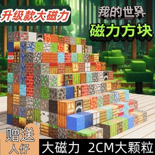 世界磁力方块磁铁磁吸铁石积木迷你儿童礼物益智拼装 我 男孩玩具