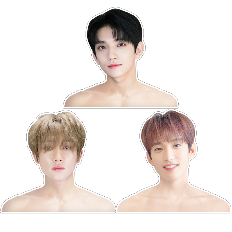 SEVENTEEN环保ABS板洪知秀金珉奎KPOP明星周边人形衣架生日礼物品