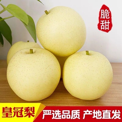 河北正宗皇冠梨新鲜水果薄皮速发梨子应季润肺脆甜多汁整箱批发