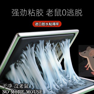 老鼠粘强力粘鼠板抓大老鼠贴夹扑捉灭鼠胶沾正品家用捕鼠神器