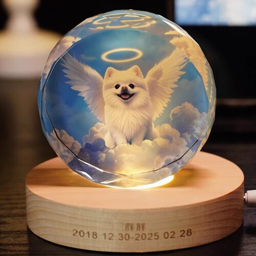 宠物纪念摆离世小天使狗狗