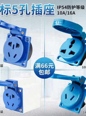 IP54国标五孔防水工业插座室外防雨带盖5孔10A电源插座盒220V家用